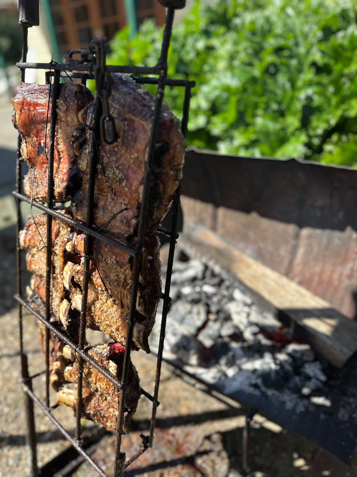 Bagual ribs roasting over charcoal